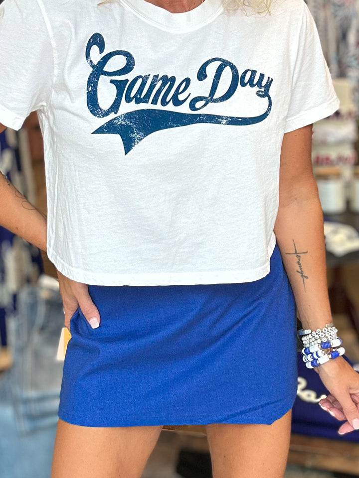 Varsity Blue Skort